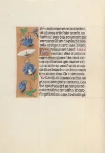 Hours of Queen Isabella the Catholic, Queen of Spain: Fol