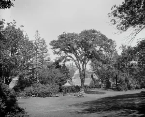 House for Aged People from the Hayes Garden, Cambridge, Mass. between 1900 and 1920. Creator: Unknown