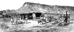 Henry Walter Bates Gallery: House of the Caboceer of MBO-GE-LAH; An Excursion in Dahomey, 1871. Creator: J. Alfred Skertchly