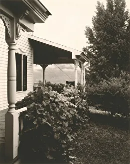 Weatherboard Prints: House and Grape Leaves, 1934. Creator: Alfred Stieglitz