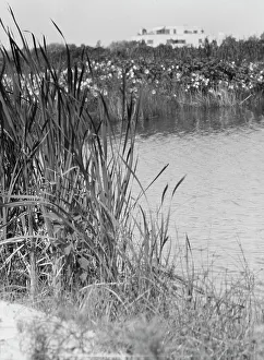 Aquatic Prints: House and grounds of The Shallows