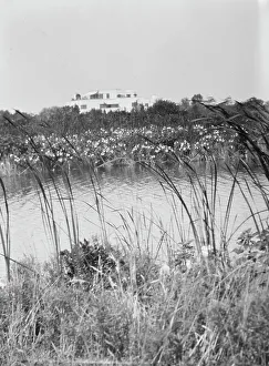 Aquatic Prints: House and grounds of The Shallows