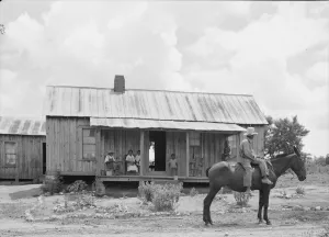 Mules Collection: House of Negro tenant family, Pittsboro, North Carolina, 1939. Creator: Dorothea Lange