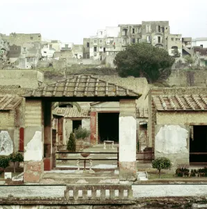 Herculaneum Prints: The House of the Stags, Herculaneum, Italy