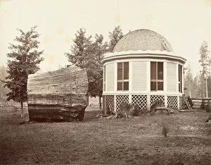 Big Tree Collection: The House over a Stump of a Big Tree, 1865-66, printed ca. 1876