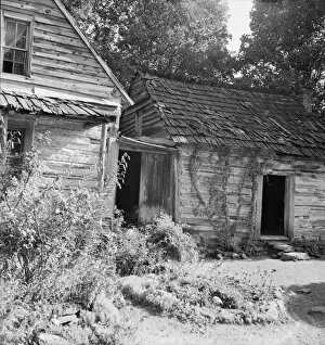 Timber Gallery: House and yard of Negro owner, 1939. Creator: Dorothea Lange