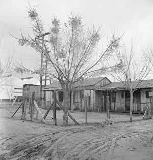 Railroad Car Prints: Houses inhabited by Mexican citrus workers