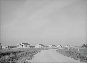 Cooperative Prints: Houses at Lake Dick cooperative, Arkansas, 1938. Creator: Dorothea Lange