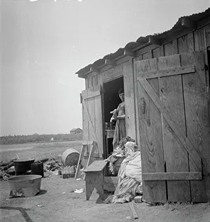 Shack Prints: Housing for cotton pickers, South Texas, 1936. Creator: Dorothea Lange