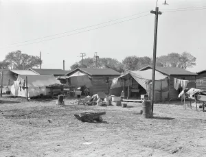 Shack Prints: Housing for migratory cotton workers five miles north of Corcoran