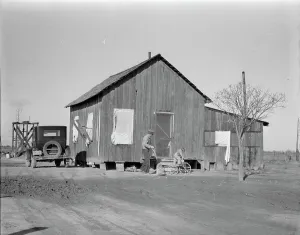 Okie Prints: Housing for Oklahoma refugees, California, 1936. Creator: Dorothea Lange