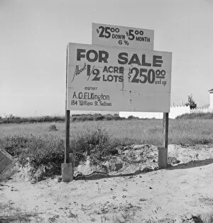 Real Estate Gallery: Housing for rapidly growing fringe of lettuce workers on edge of town, Salinas, California, 1939