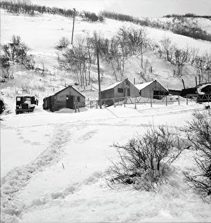 Colliery Prints: Housing in Utah coal town, Consumers, near Price, Utah, 1936. Creator: Dorothea Lange