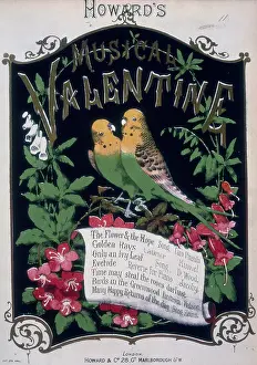Howard's Musical Valentine, 1876. Creator: Unknown.<br> Howard's Musical Valentine, 1876. Creator: Unknown