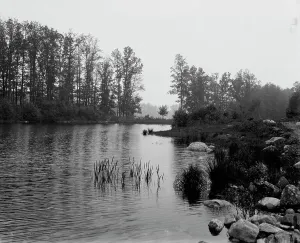 Howell's Lakes, N.J. upper lake, between 1900 and 1906. Creator: Unknown