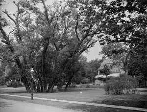 Hubbard Park, Cambridge, Mass. between 1900 and 1920. Creator: Unknown