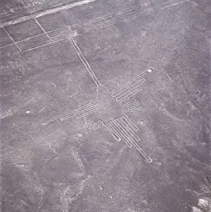 The Hummingbird, Nazca Lines, Ica, Peru, 2015. Creator: Luis Rosendo