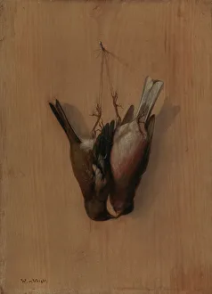 Dead Animal Prints: Two Hung Chaffinches, 1852. Creator: Wilhelm von Wright