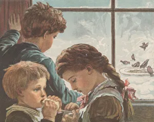 Hungry Birds, from The Graphic'Christmas Number, December 2, 1882