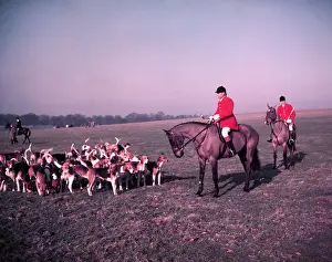 Controversy Prints: Hunt of Woburn Abbey, Bedfordshire, c1955. Creator: Arthur Charles Kirby Ware