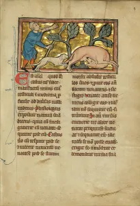 Biting Prints: A Hunter and a Beaver; De Natura Avium; De Pastoribus et Ovibus; Bestiarium