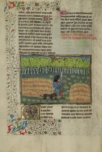 Febus Gaston Prints: A Hunter and a Dog Tracking between a Field and a Forest; Livre de la Chasse