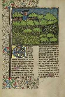 Hiding Prints: A Hunter and Dogs Pursuing a Wild Boar; Livre de la Chasse