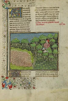 Hiding Prints: A Hunter and Greyhound Waiting to Attack a Hare; Livre de la Chasse