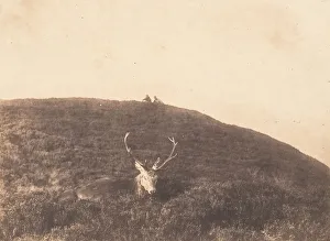 Ross Hartio Prints: Hunters Stalking a Deer, ca. 1857. Creator: Horatio Ross
