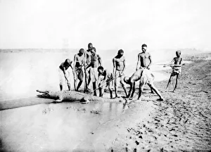 Hunting a crocodile, Nubia, Egypt, 1887. Artist: Henri Bechard Hunting a crocodile, Nubia, Egypt, 1887. Artist: Henri Bechard