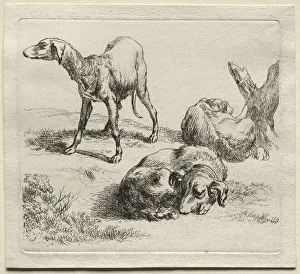 Nicolaes Berchem Dutch Prints: Three Hunting Dogs. Creator: Nicolaes Berchem (Dutch, 1620-1683)