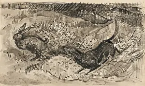 Hare Prints: Hunting scene (Hare and dog), 1930-1939. Creator: Arnold Peter Weisz-Kubincan