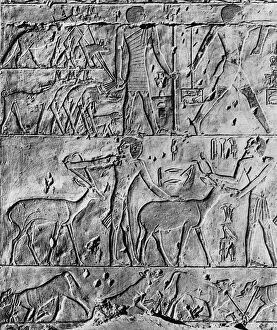 A hunting scene from the tomb of Ptahhotep, near Saqqara, Egypt, c2650 BC (1936)