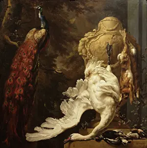 Swan Prints: Hunting Trophies, 1700. Creator: Jan Weenix