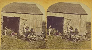 Stereoscopy Prints: Husking Scene. about 1870-1880. Creator: Unknown