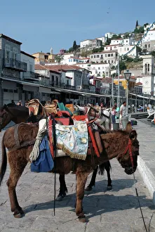 Hydra Attica Greece Prints: Hydra, Greece, 2003. Creator: Ethel Davies