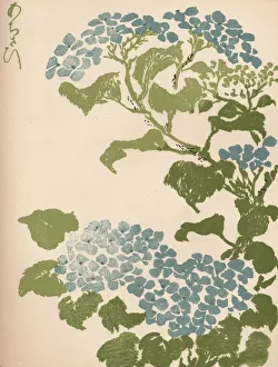 Keisai Eisen Prints: Hydrangea, 1838. Artist: Ikeda Eisen