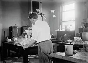 Test Tube Prints: Hygiene Laboratory, 1913. Creator: Harris & Ewing