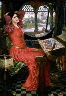 Images Dated 29th July 2005: I am half sick of shadows, c1911. Artist: John William Waterhouse