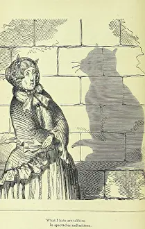 Misogyny Prints: What I hate are tabbies, in spectacles and mittens, 1875. Creator: Unknown