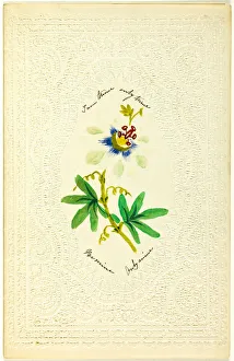 Lower Case Collection: I am Thine Only Thine (valentine), c. 1840. Creator: George Meek