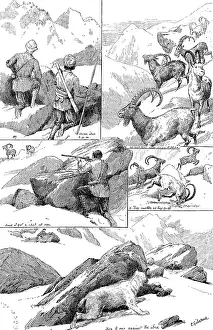 Horns Prints: Ibex-shooting in the Shigar Nullahs, Baltistan, Himalayas, 1890. Creator: Unknown