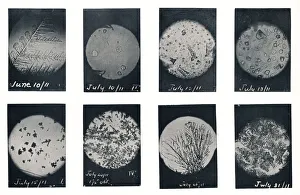Robert Falcon Prints: Ice Crystals in Crevasse, June-July 1911, (1913). Artist: Charless Wright