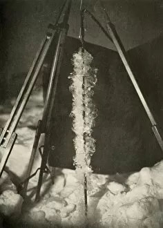 South Pole Collection: Ice Crystals Formed on the Line of a Fish Trap, c1908, (1909)