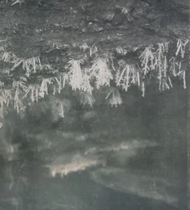 Charles Wright Prints: Ice Crystals on the Roof of a Cave at the Head of the Alph River, c1911, (1913)