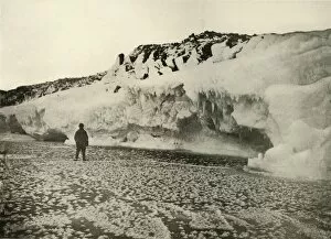 Armytage Gallery: Ice Flowers on Newly Formed Sea Ice Early in the Winter, c1908, (1909)
