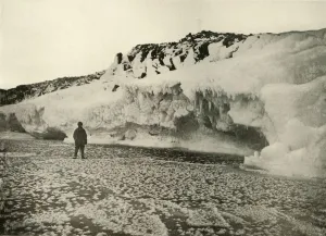 Armytage Gallery: Ice Flowers on Newly Formed Sea Ice Early in the Winter, c1908, (1909)