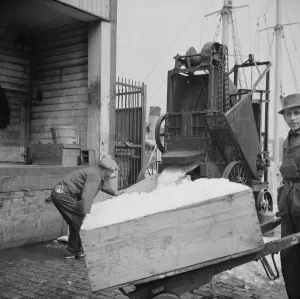 Ice used to store fish in ships, New York, 1943. Creator: Gordon Parks