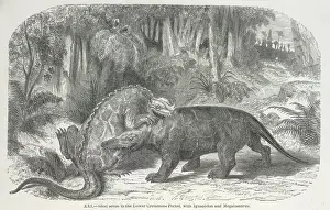 Edouard Riou Prints: Ideal scene in the Lower Cretaceous period