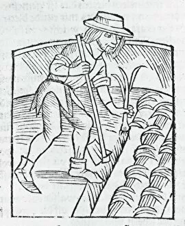 Agricultural Workers Collection: II) Der Ritter vom Turm, von den exenplen der Gotzfurcht und erberkeit. 1499, 1512, 1513
